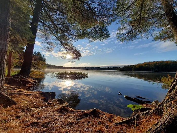 Loon Campground Picture 2