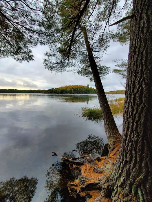 Loon Campground Picture 3