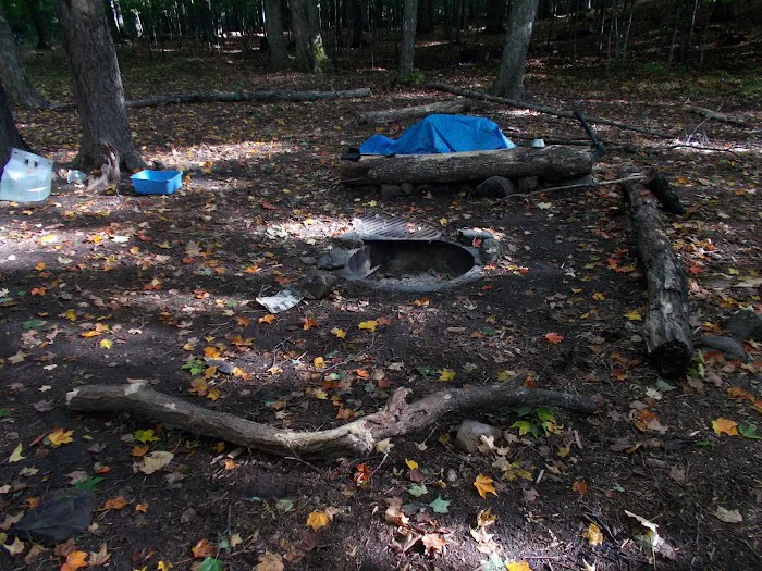 Loon Campground Picture 4
