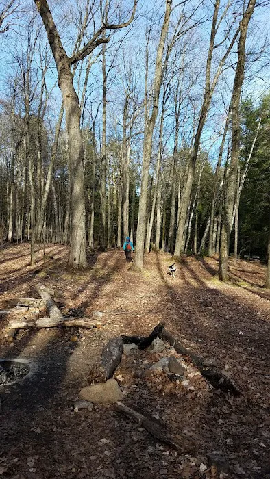 Loon Campground Picture 5