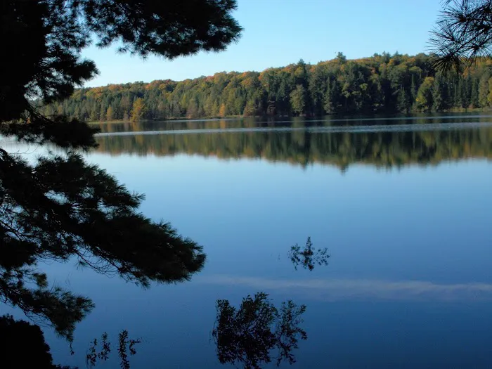Loon Campground Picture 7