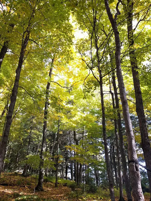 Loon Campground Picture 8
