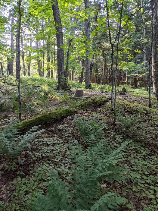 Porcupine Campground 2 Picture 5