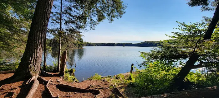 Porcupine Campground 2 Picture 8