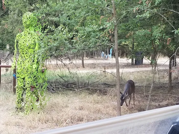 Shoreline RV Park & Marina Picture 7