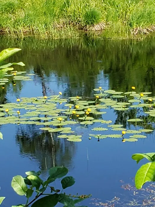 Bergland Township Park Picture 2