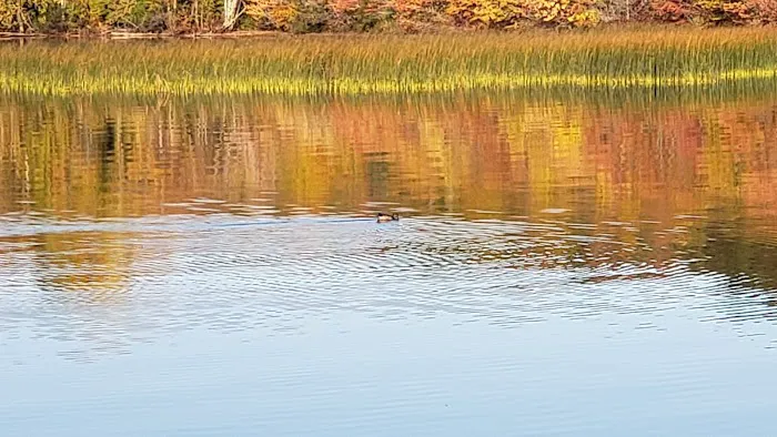 Bergland Township Park Picture 10