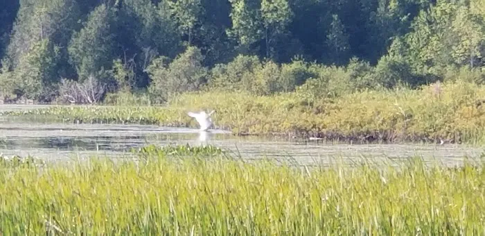 Lake Gogebic County Park Picture 1