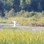 Lake Gogebic County Park