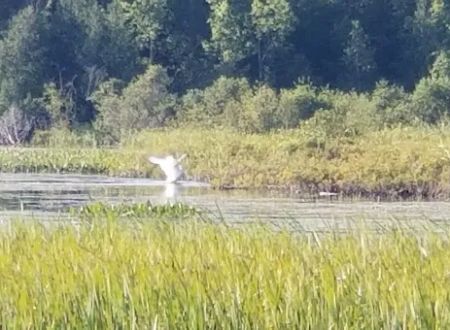 Lake Gogebic County Park