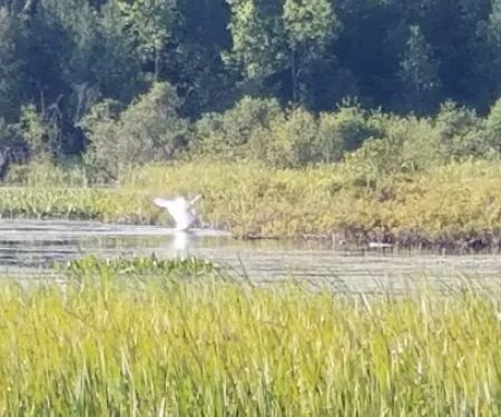 Lake Gogebic County Park