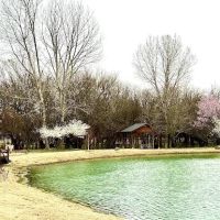 The Farmstead RV Park ico