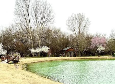 The Farmstead RV Park