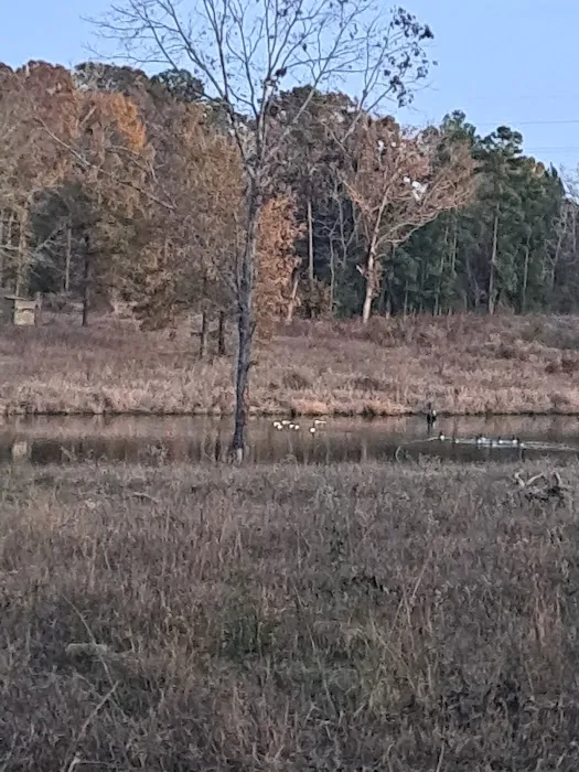 Weems Hill RV Park Picture 1