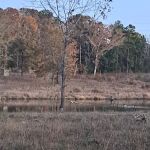 Weems Hill RV Park