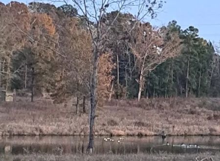 Weems Hill RV Park