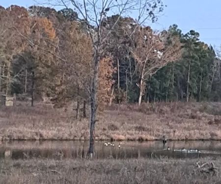 Weems Hill RV Park