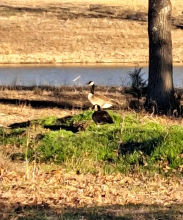 Weems Hill RV Park Picture 5