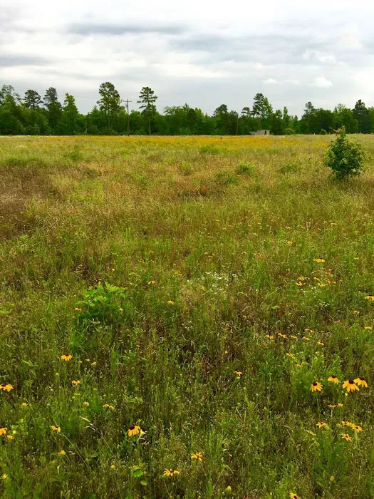 Hope Springs RV Campground Picture 9