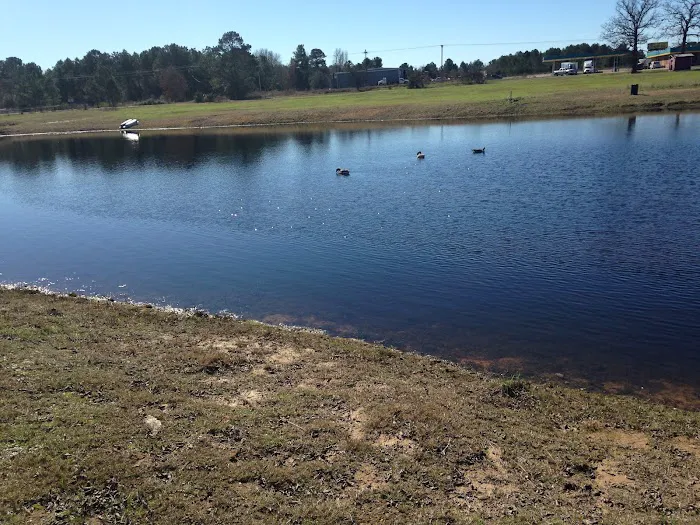 Midway Rv Park Picture 2