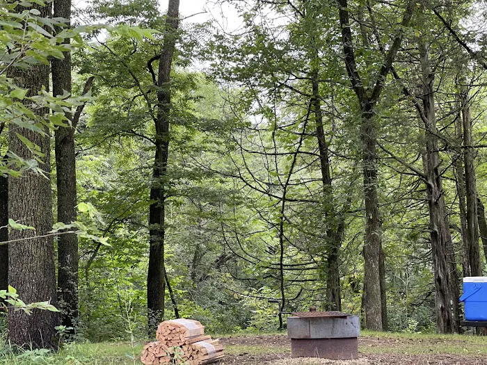 Minneiska Campground Picture 3