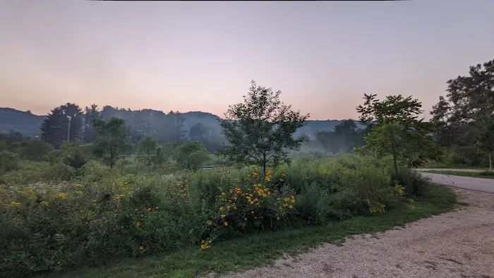 Minneiska Campground Picture 2