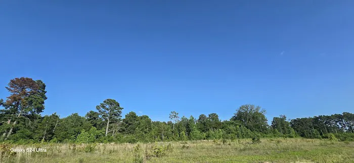 Pine Haven RV Resort Picture 2