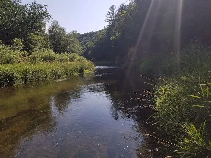 Upper Cedar Hills Campground Picture 6