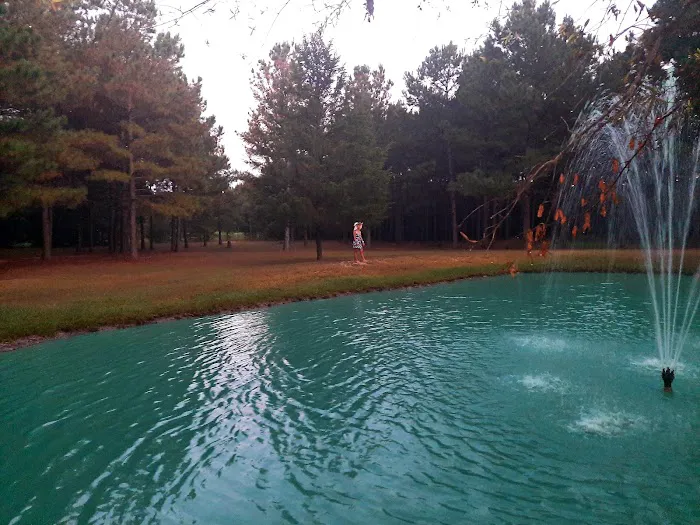 Lovin' Life RV Park and Country Store Picture 1