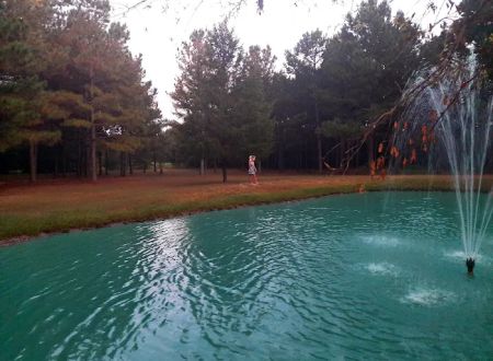 Lovin' Life RV Park and Country Store
