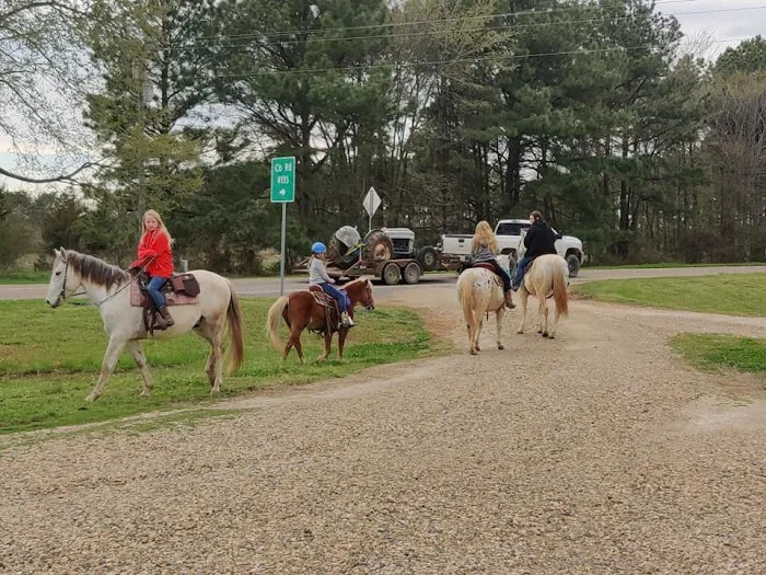 Lovin' Life RV Park and Country Store Picture 7