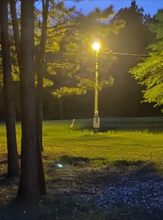 Lovin' Life RV Park and Country Store Picture 8