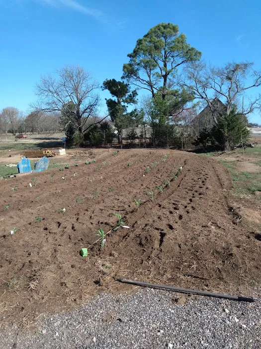 Texoma RV Ranch Picture 9