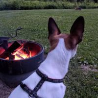 Zumbro Bottoms Horse Campground - Central ico