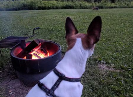 Zumbro Bottoms Horse Campground - Central