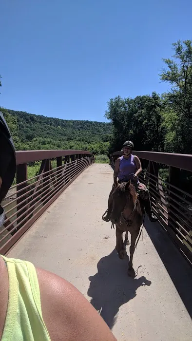 Zumbro Bottoms Horse Campground - Central Picture 3