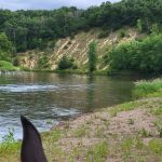 Zumbro Bottoms Horse Campground - West