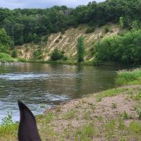 Zumbro Bottoms Horse Campground - West ico