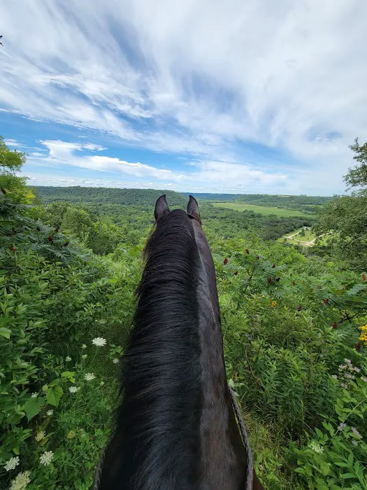 Zumbro Bottoms Horse Campground - West Picture 3