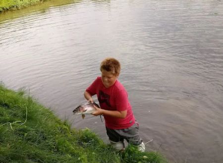 Whippoorwill Kampground