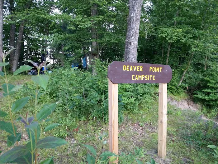 Beaver Point Campsite Picture 3