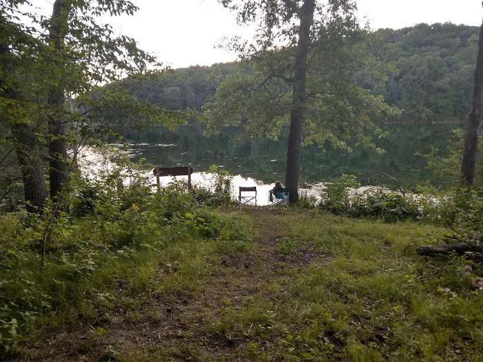 Beaver Point Campsite Picture 4