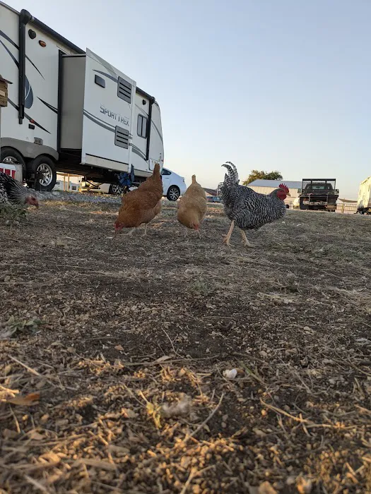 Howling Hills RV park LLC Picture 1