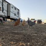 Howling Hills RV park LLC