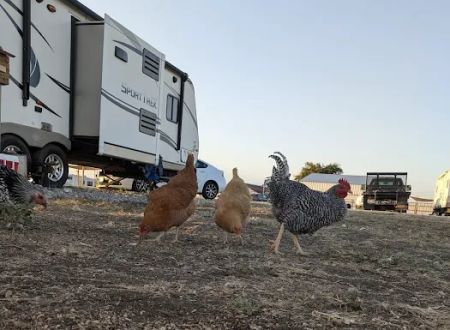 Howling Hills RV park LLC