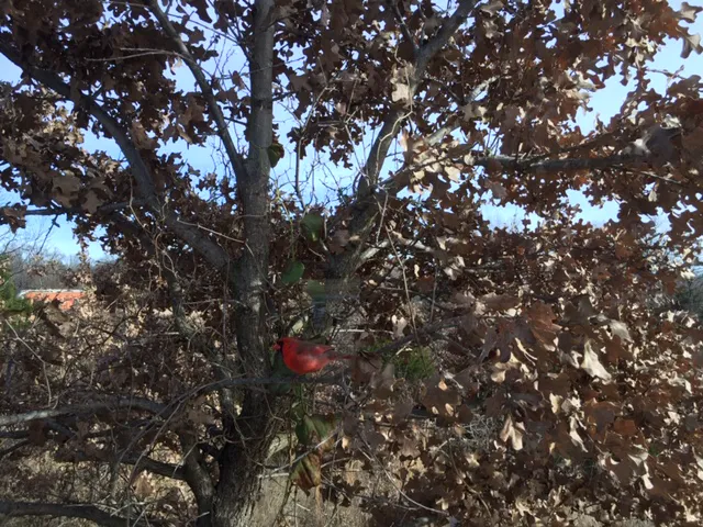 RV Texoma Picture 3