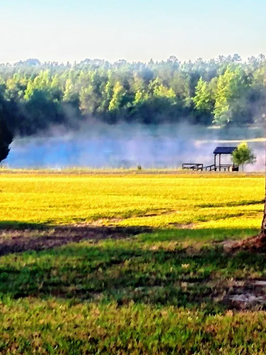 Hawks Nest Senior RV Park Picture 4