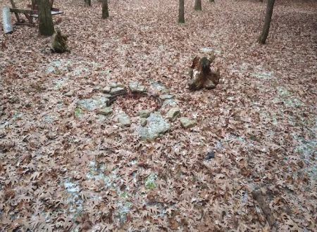 #7 White Oak camp site