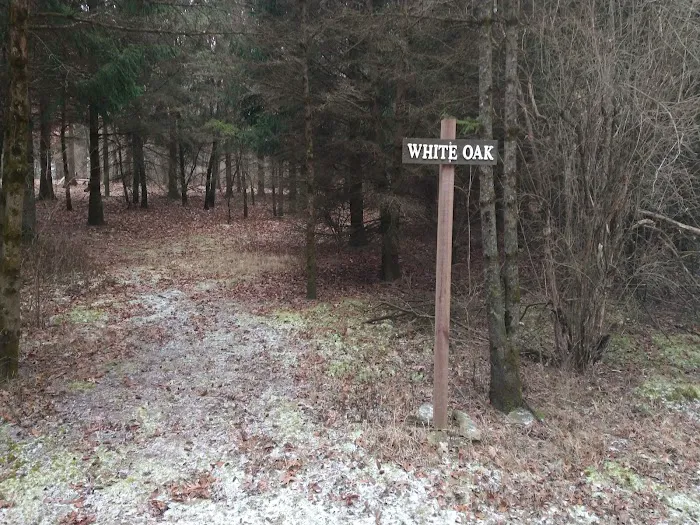 #7 White Oak camp site Picture 2