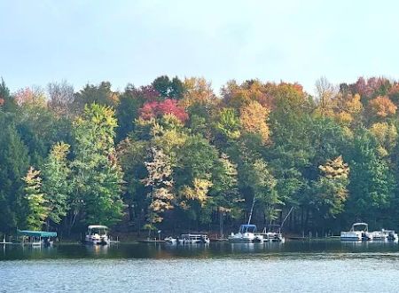 Cedar Ridge Campground